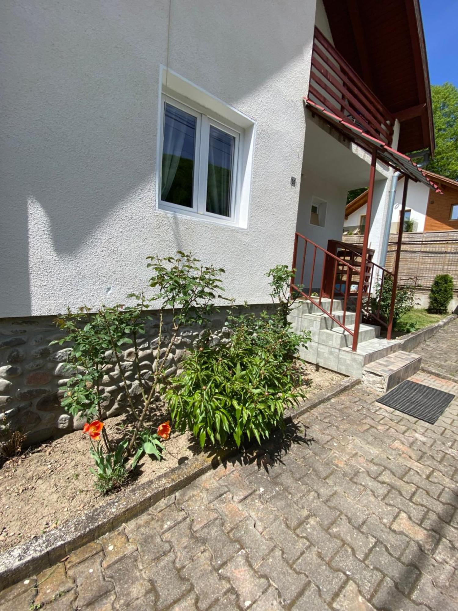 Villa Casa Micul Arin à Sovata Extérieur photo
