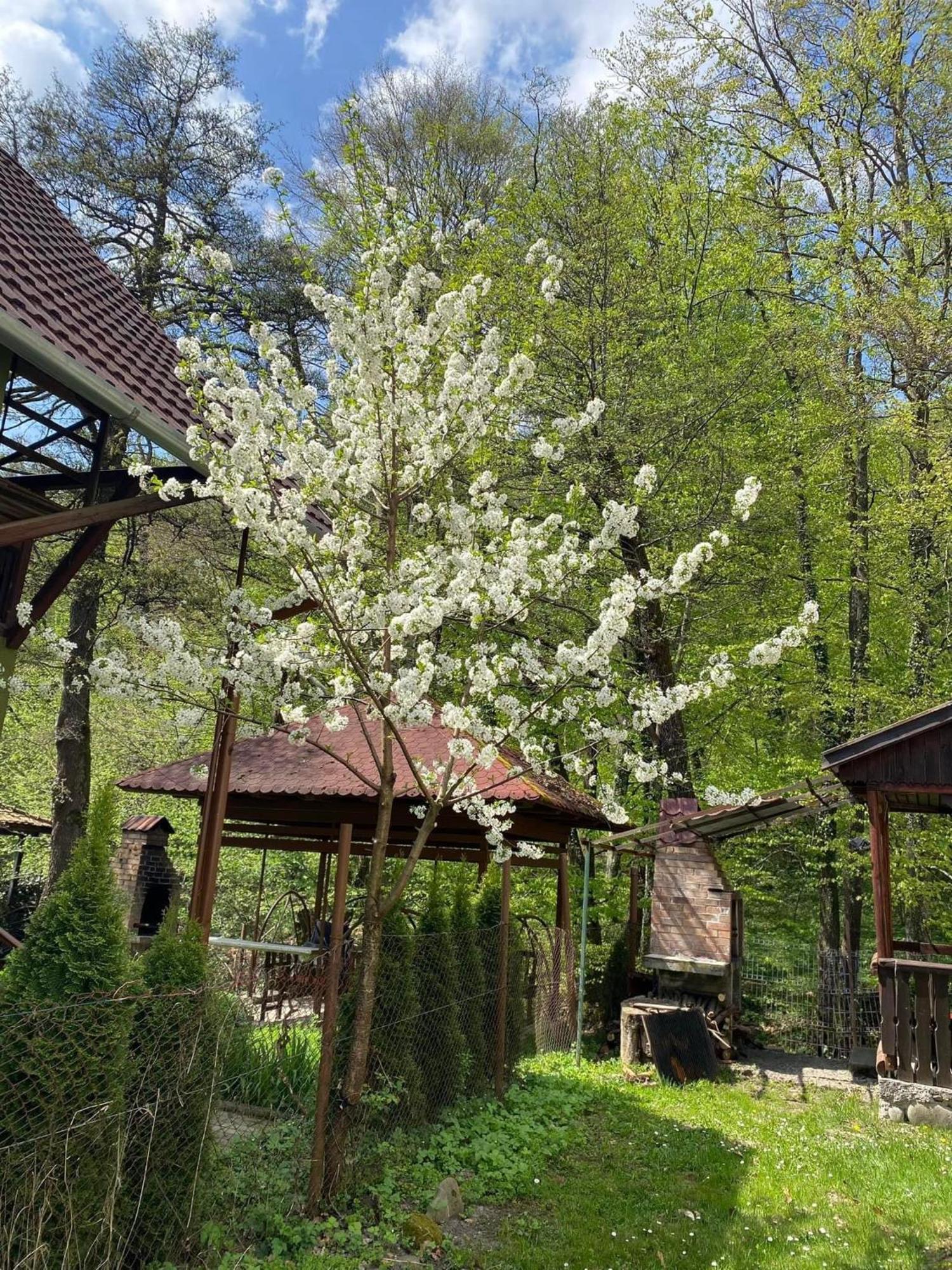 Villa Casa Micul Arin à Sovata Extérieur photo